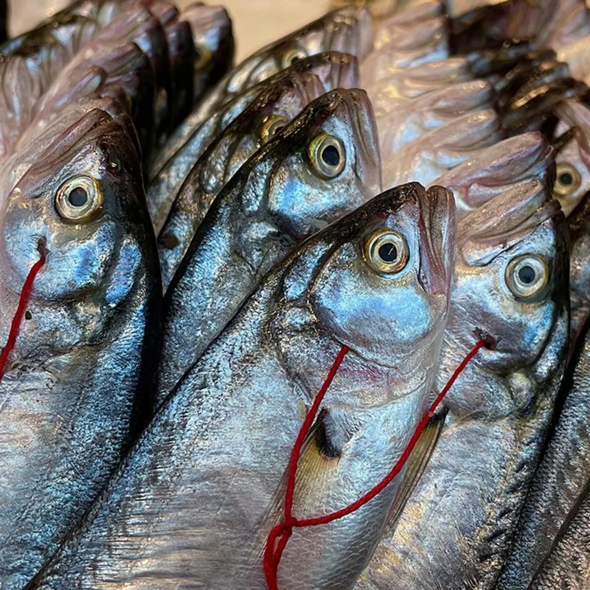 Cebi de sofrayı da güldürdü: İşte tezgahtaki en ucuz lezzet