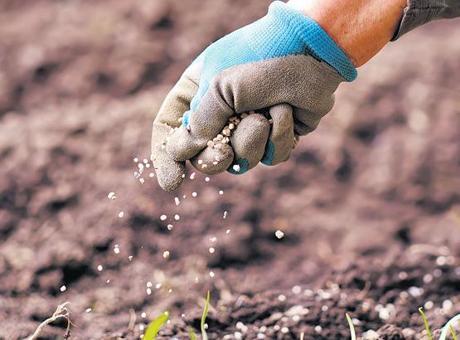 Gübre savaşa takıldı sofrada fiyatlar arttı