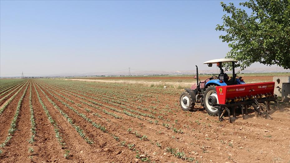 Gübre tedariki için yeni tedbir: Gümrük vergileri sıfırlandı