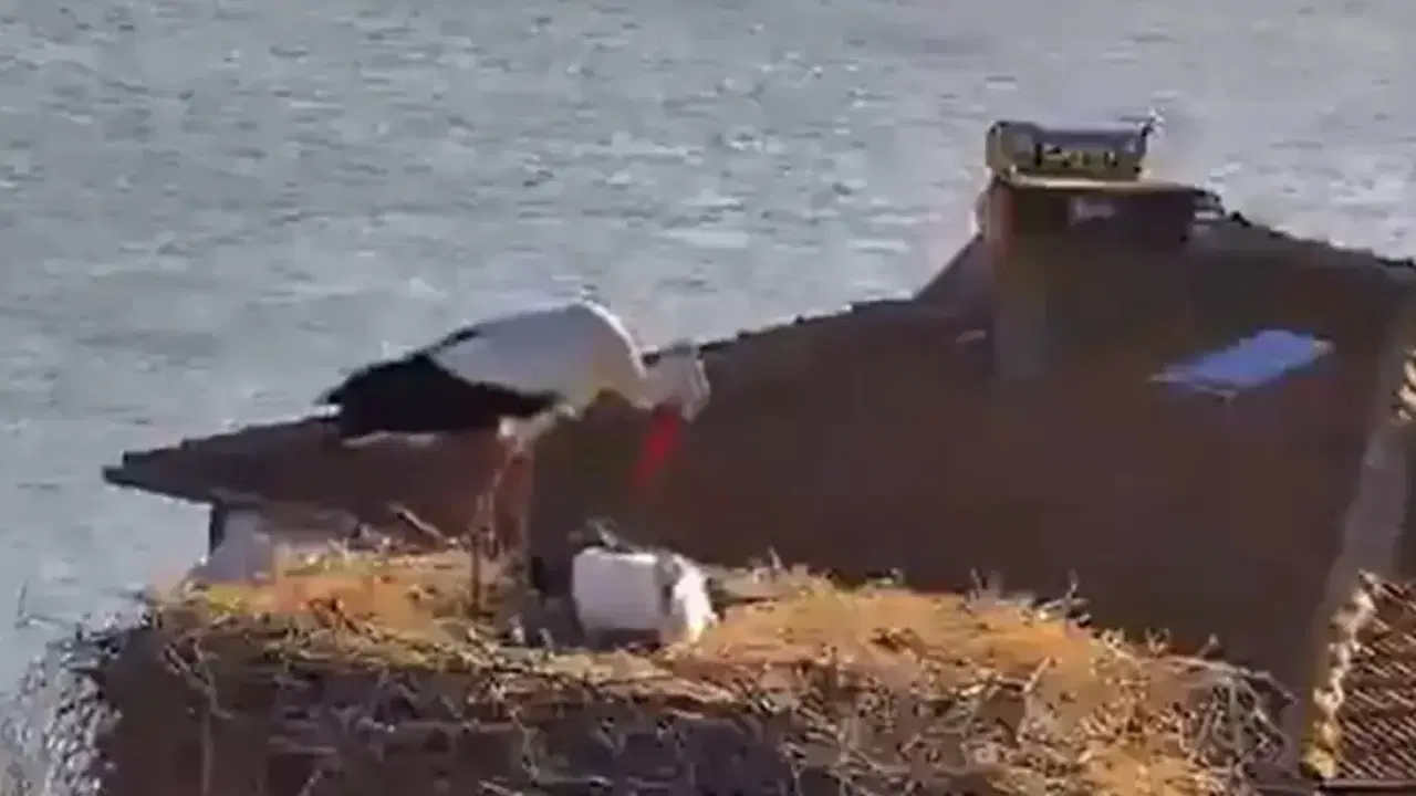 Yaren Leylek, eşi Nazlı ile de buluştu